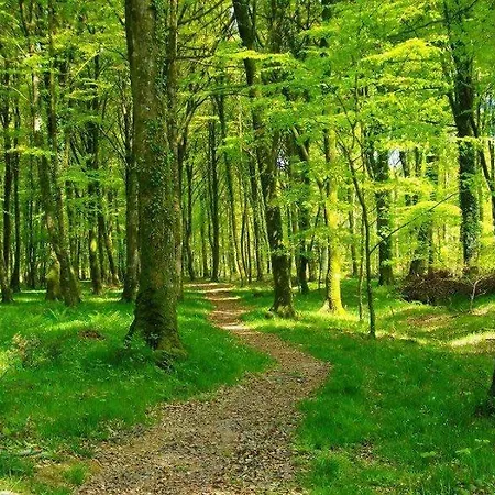 Semesterpark Mh 122